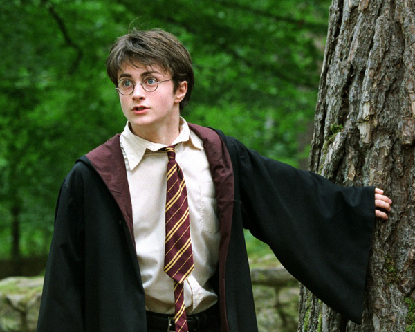 La série Harry Potter arrive sur HBO à Noël 2026 : ce qu'il faut savoir