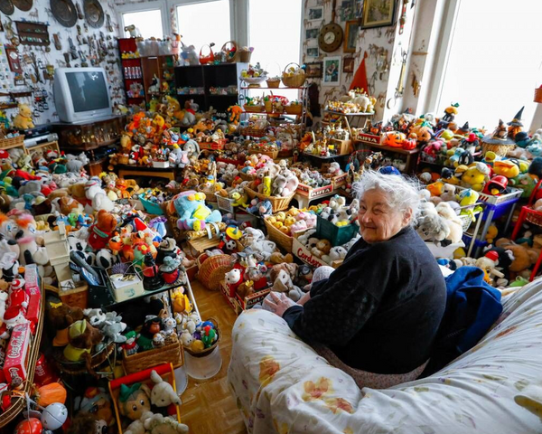5 conseils pour organiser et mettre en valeur sa collection de peluches