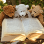 Comment bien choisir sa peluche ou son doudou ?