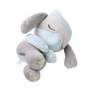 Riolu cushion