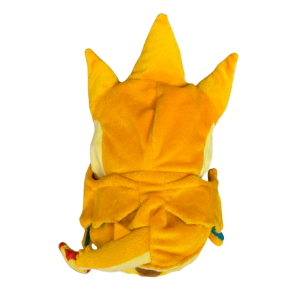 Pikachu Cosplay Méga-Dracaufeu Y